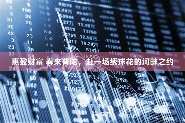 惠盈财富 春来普陀，赴一场绣球花的河畔之约