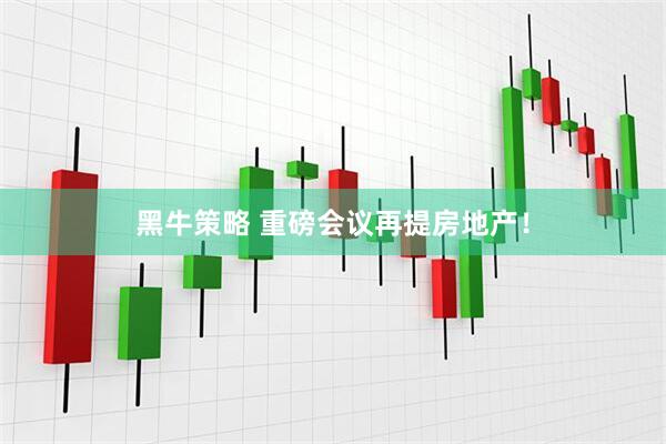 黑牛策略 重磅会议再提房地产！